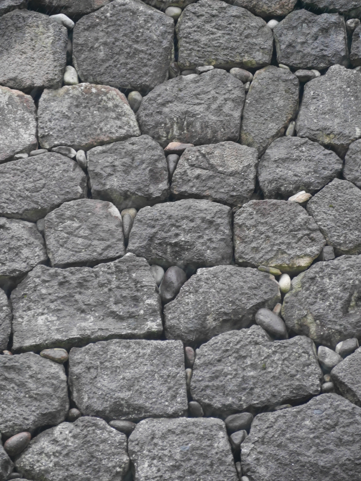 金沢城「刻印が彫られた石垣」 - 金沢おもしろ発掘