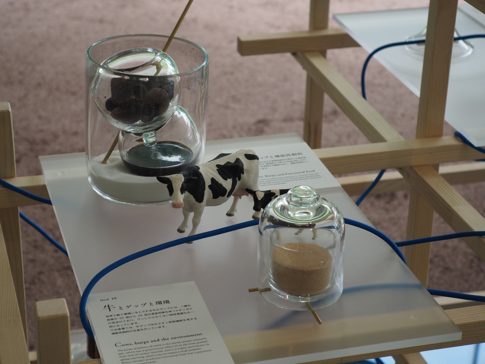 芸術の秋「AからBへ、そのむこうへ」「発酵文化芸術祭」 - 金沢