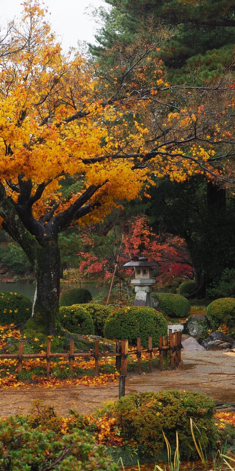 師走の街をあるけば「兼六園」紅葉 - 金沢おもしろ発掘