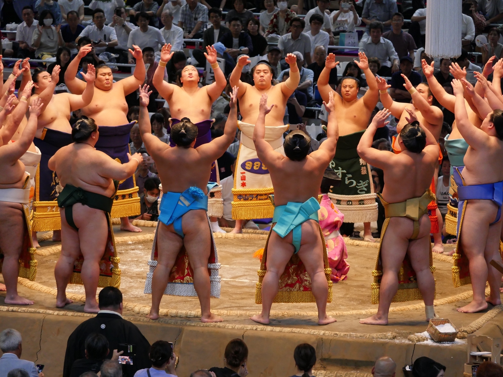 大相撲名古屋場所 観戦ツアー「幕内土俵入り」 - 金沢おもしろ発掘