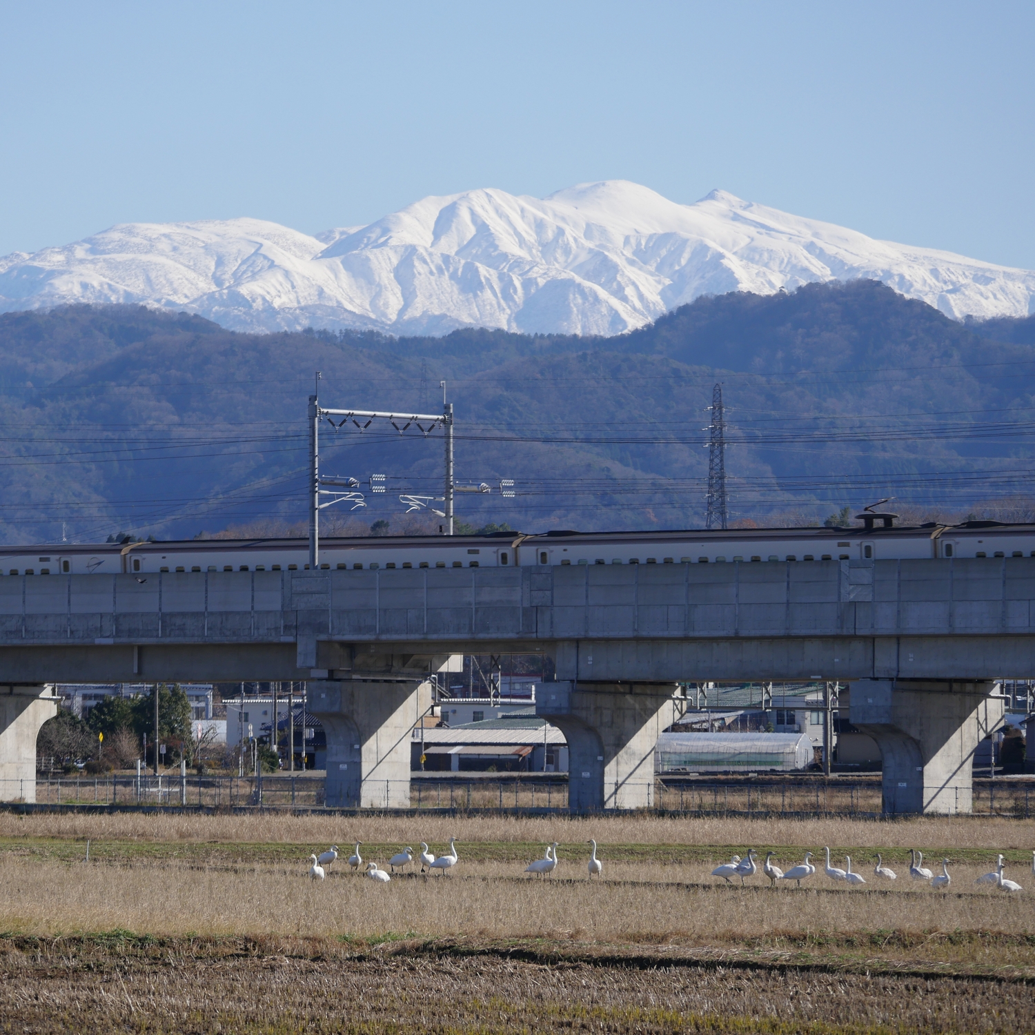 白山と白鳥と新幹線 - 金沢おもしろ発掘