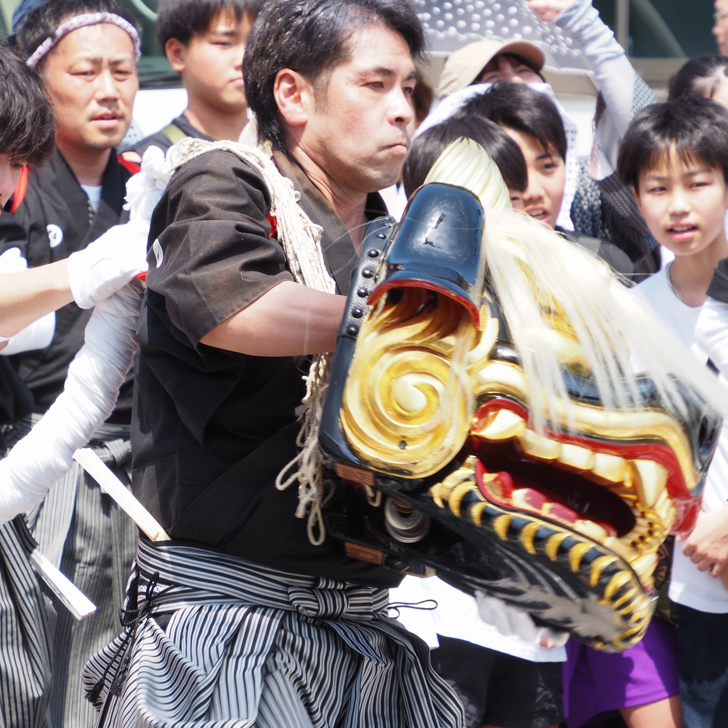 獅子舞 1尺 練り歩き用（お祭り） 獅子舞 1尺 練り歩き用（お祭り