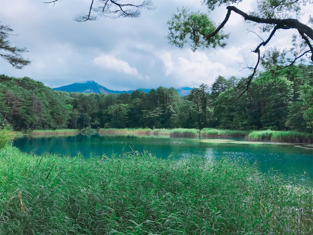 f:id:k1370yui:20170901014004j:image
