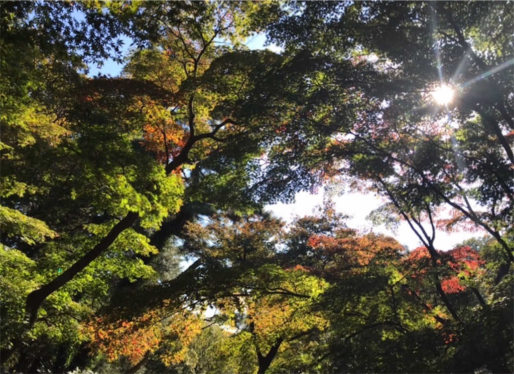f:id:k1370yui:20171104110210j:image