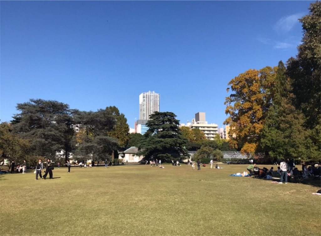 f:id:k1370yui:20171104110226j:image