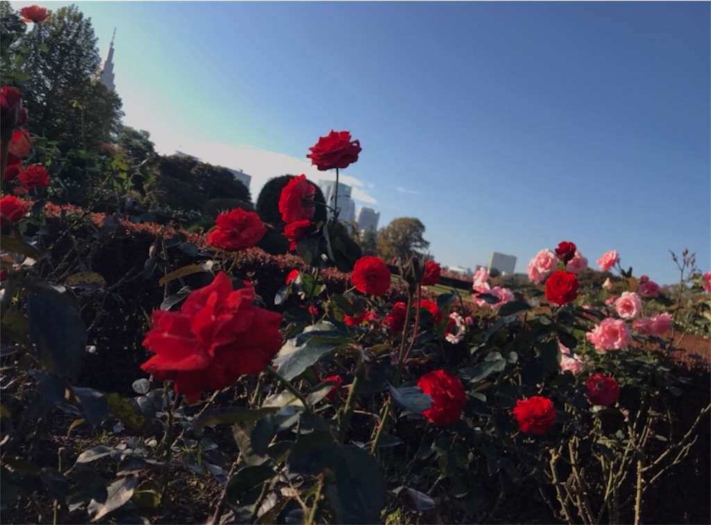 f:id:k1370yui:20171104110409j:image