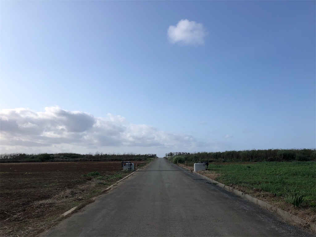 f:id:k13b1128:20210304155057j:image