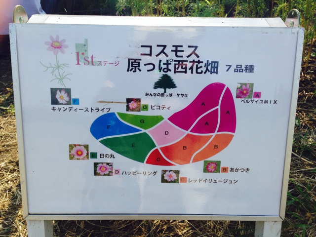 f:id:k17k24:20140910162054j:plain f:id:k17k24:20140910162054j:plain