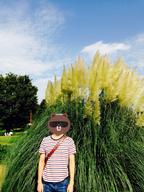 f:id:k17k24:20140910163246j:plain f:id:k17k24:20140910163246j:plain