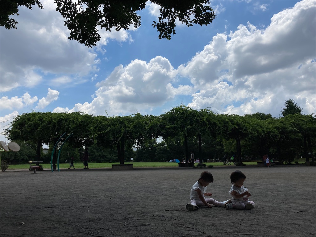 f:id:k17k24:20210808102533j:image