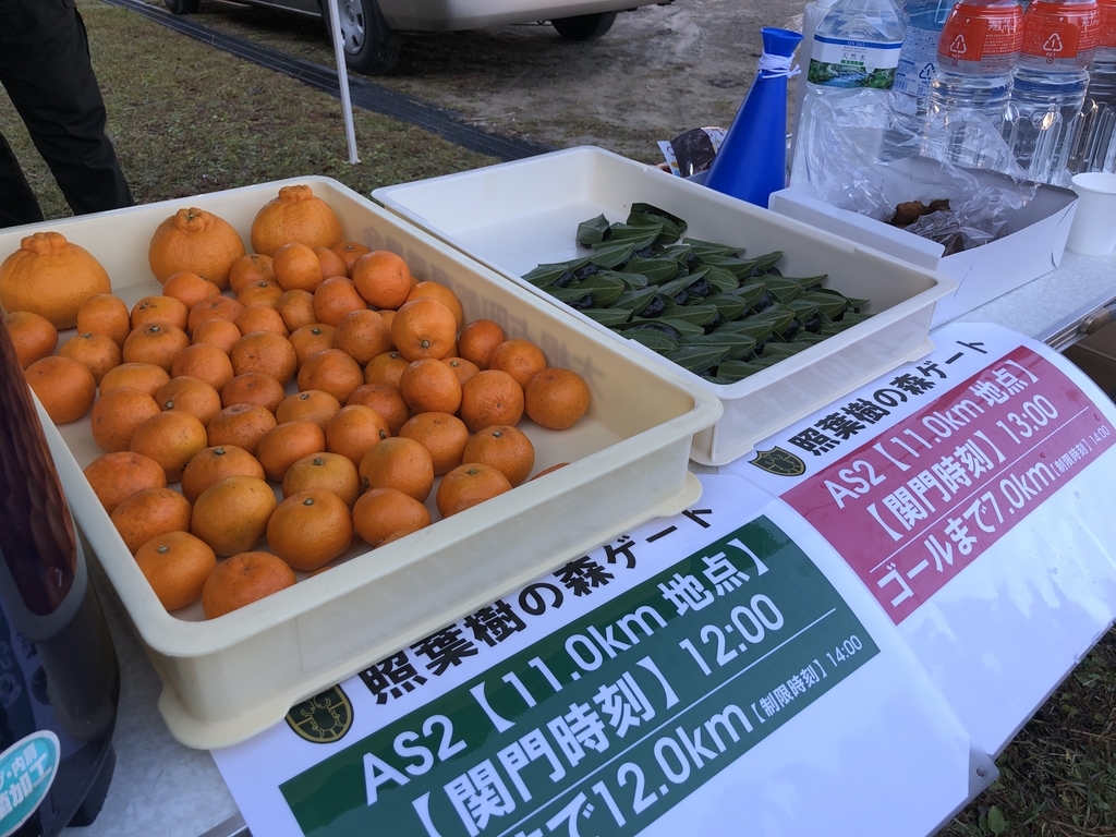 f:id:k1m1n0:20181204162219j:plain f:id:k1m1n0:20181204162219j:plain