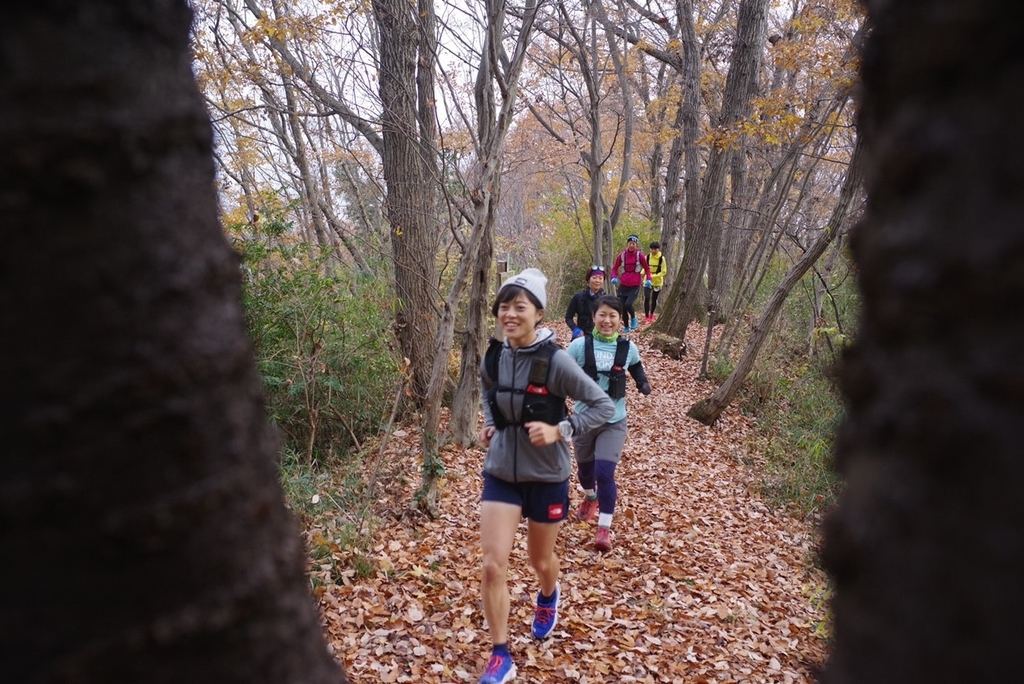 f:id:k1m1n0:20181228141322j:plain