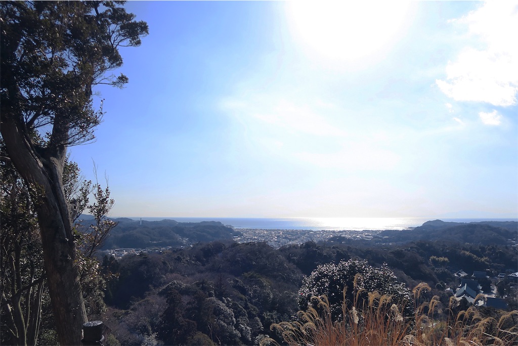 f:id:k1m1n0:20190224193108j:plain f:id:k1m1n0:20190224193108j:plain