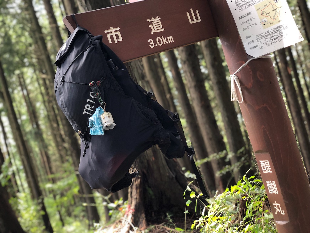 f:id:k1m1n0:20190918102119j:image