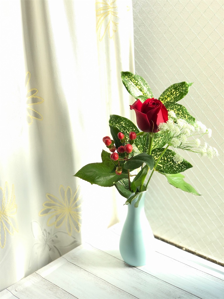 f:id:k1m1n0:20191209105631j:image
