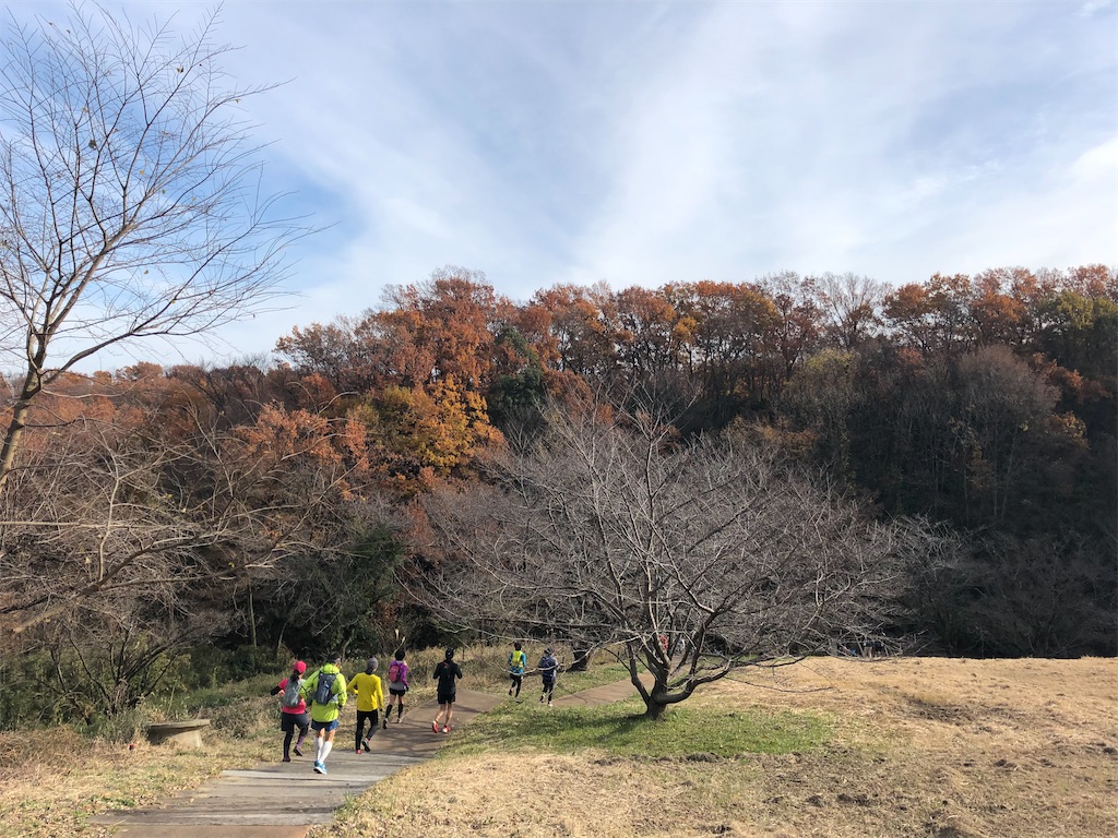 f:id:k1m1n0:20191216115639j:image