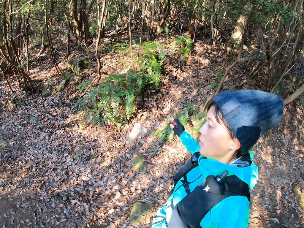 f:id:k1m1n0:20200103145056j:image f:id:k1m1n0:20200103145056j:image