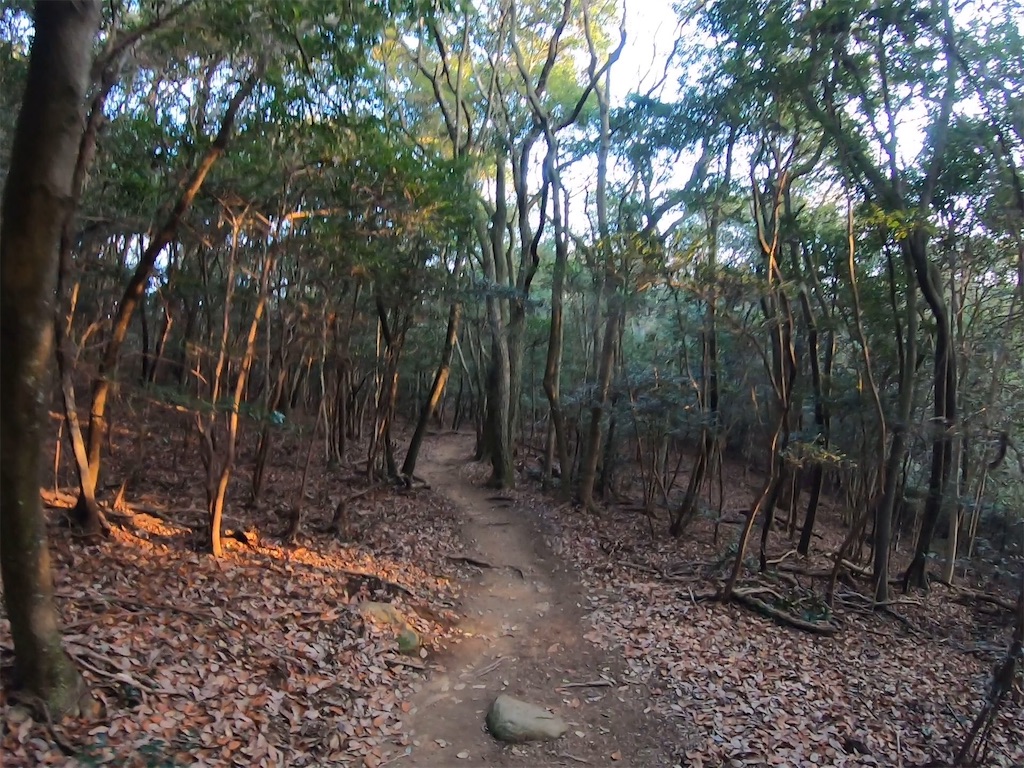 f:id:k1m1n0:20200103145625j:image f:id:k1m1n0:20200103145625j:image