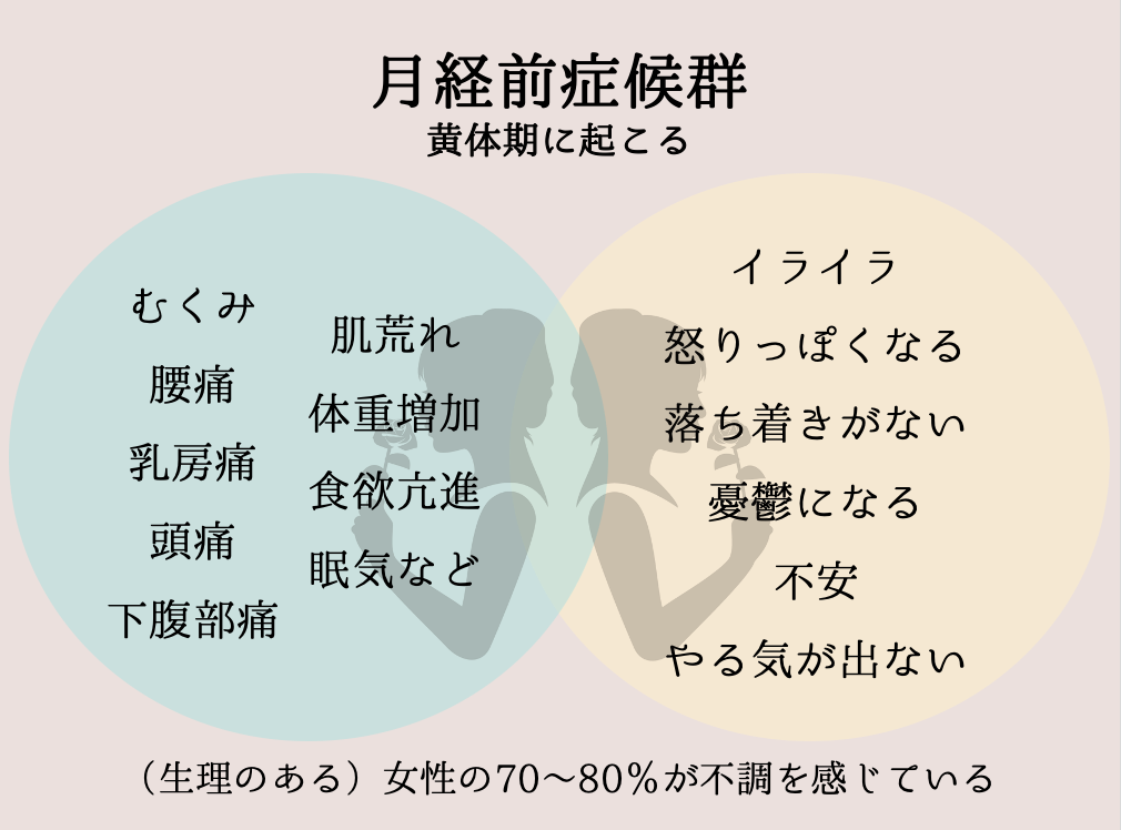 f:id:k1m1n0:20210310175158p:plain