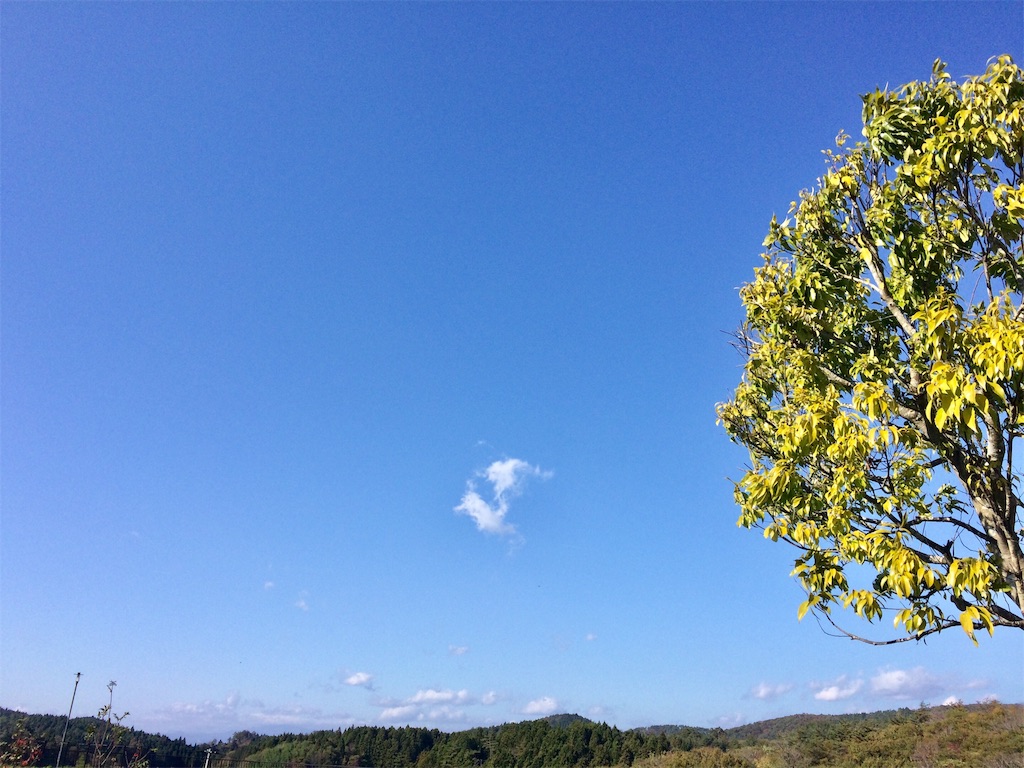f:id:k1nta:20191106163851j:image