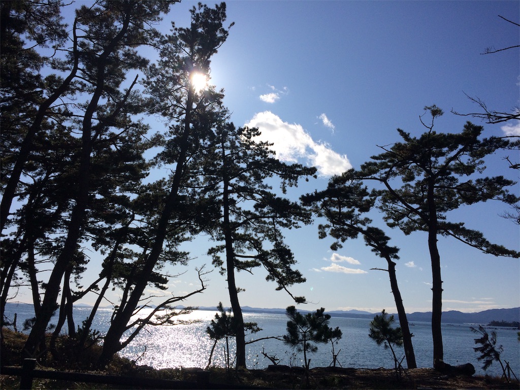 f:id:k1nta:20191129155718j:image