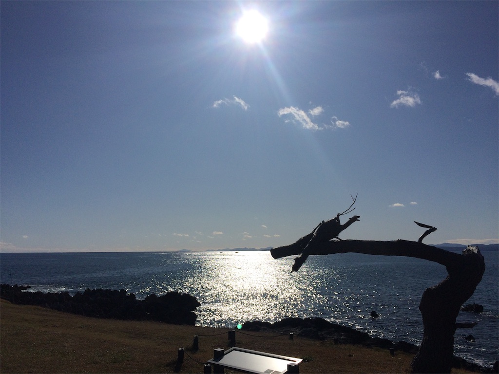 f:id:k1nta:20191129160748j:image