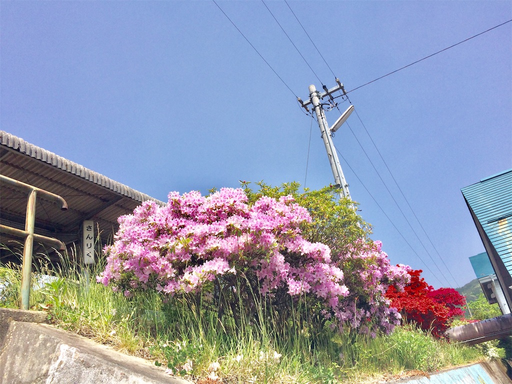 f:id:k1nta:20200513134803j:image