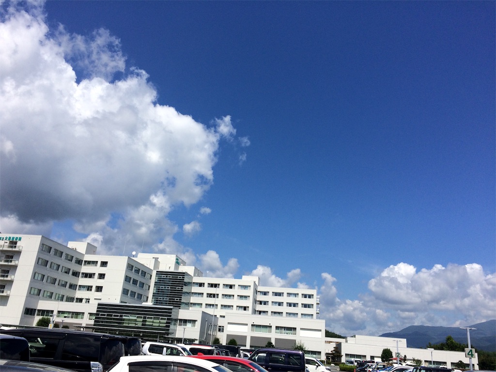 f:id:k1nta:20200818130012j:image