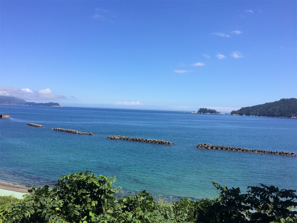 f:id:k1nta:20200827183354j:image f:id:k1nta:20200827183354j:image