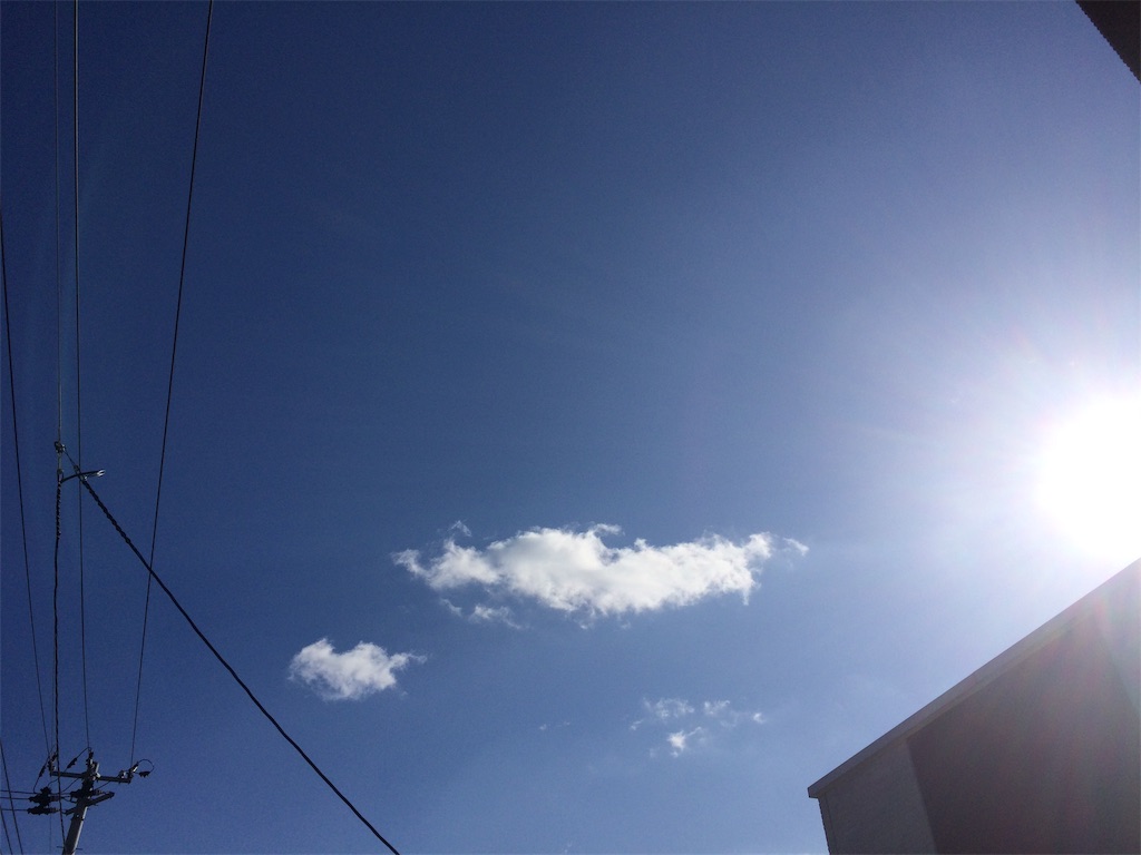 f:id:k1nta:20201114102514j:image