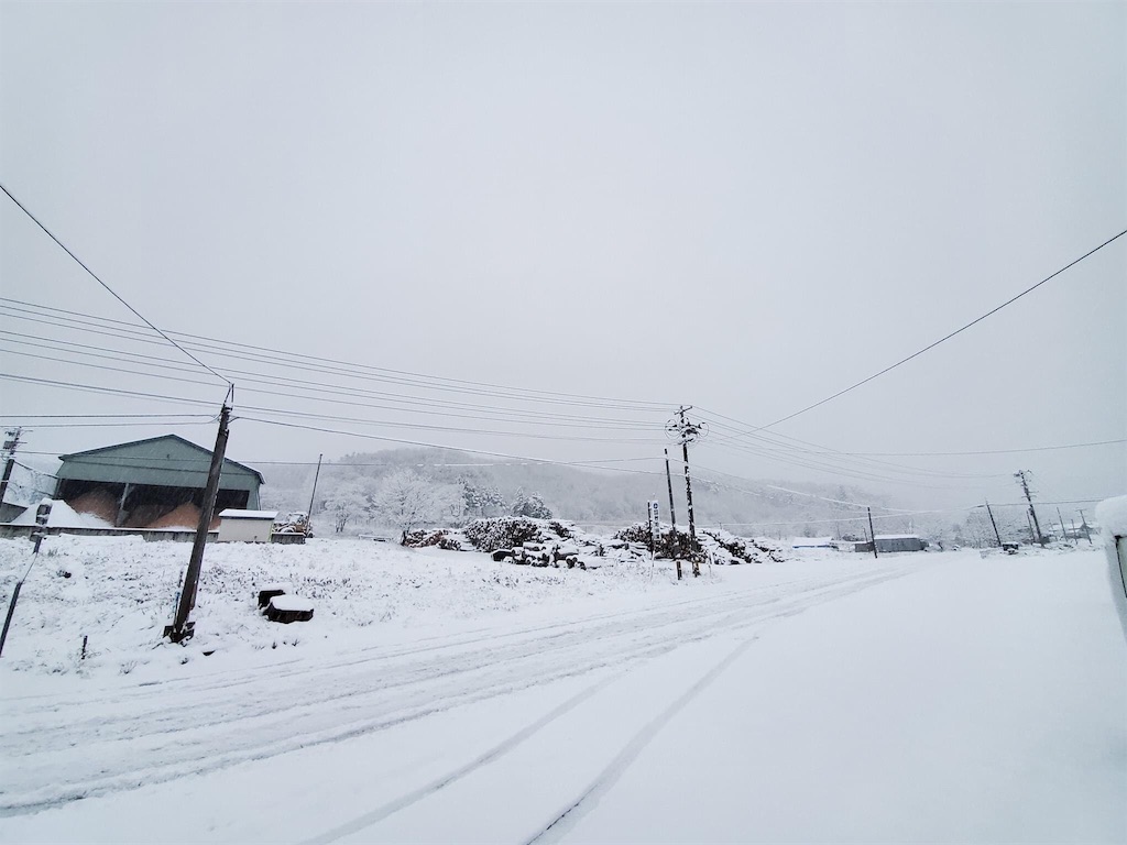 f:id:k1nta:20201128125602j:image f:id:k1nta:20201128125602j:image