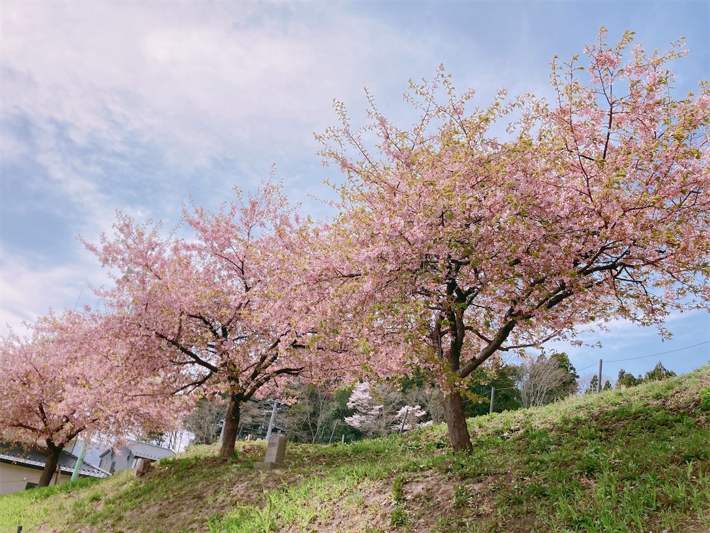 f:id:k1nta:20210407182124j:image