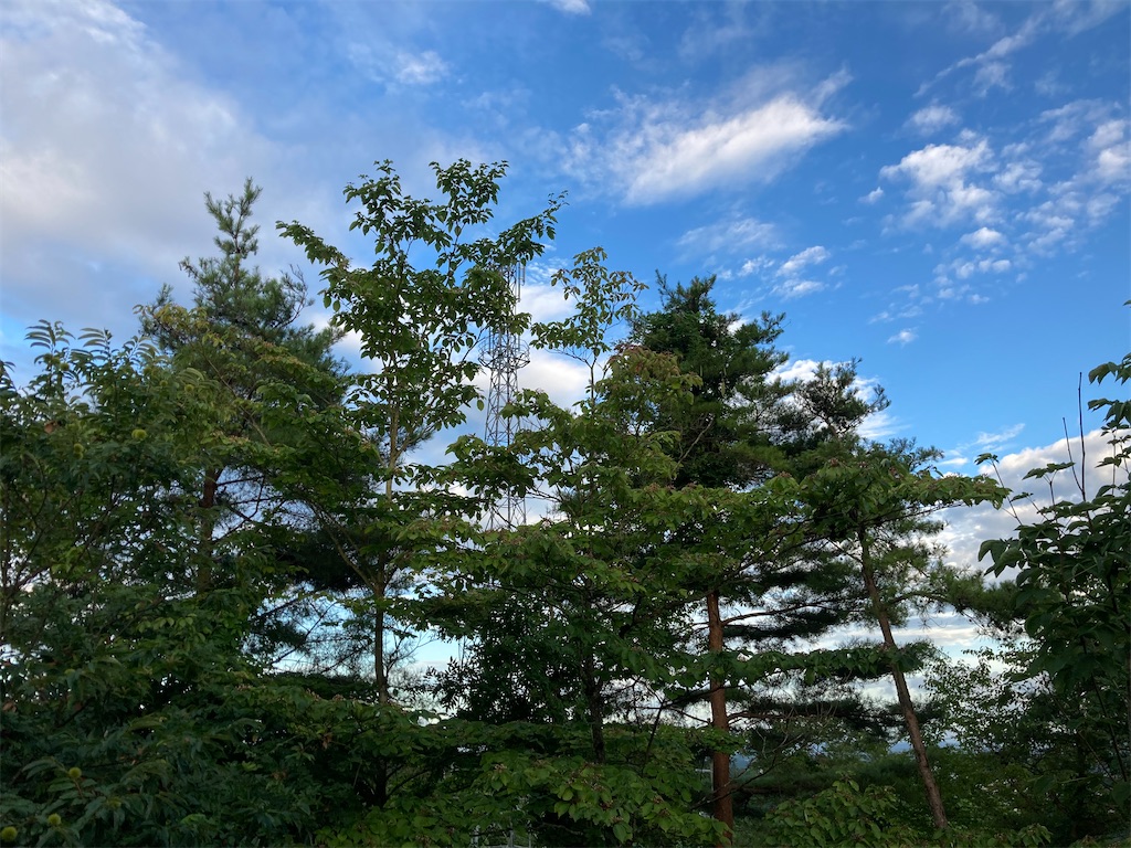 f:id:k1nta:20210807212354j:image