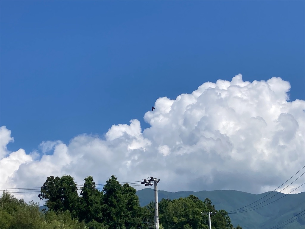 f:id:k1nta:20230821102126j:image f:id:k1nta:20230821102126j:image