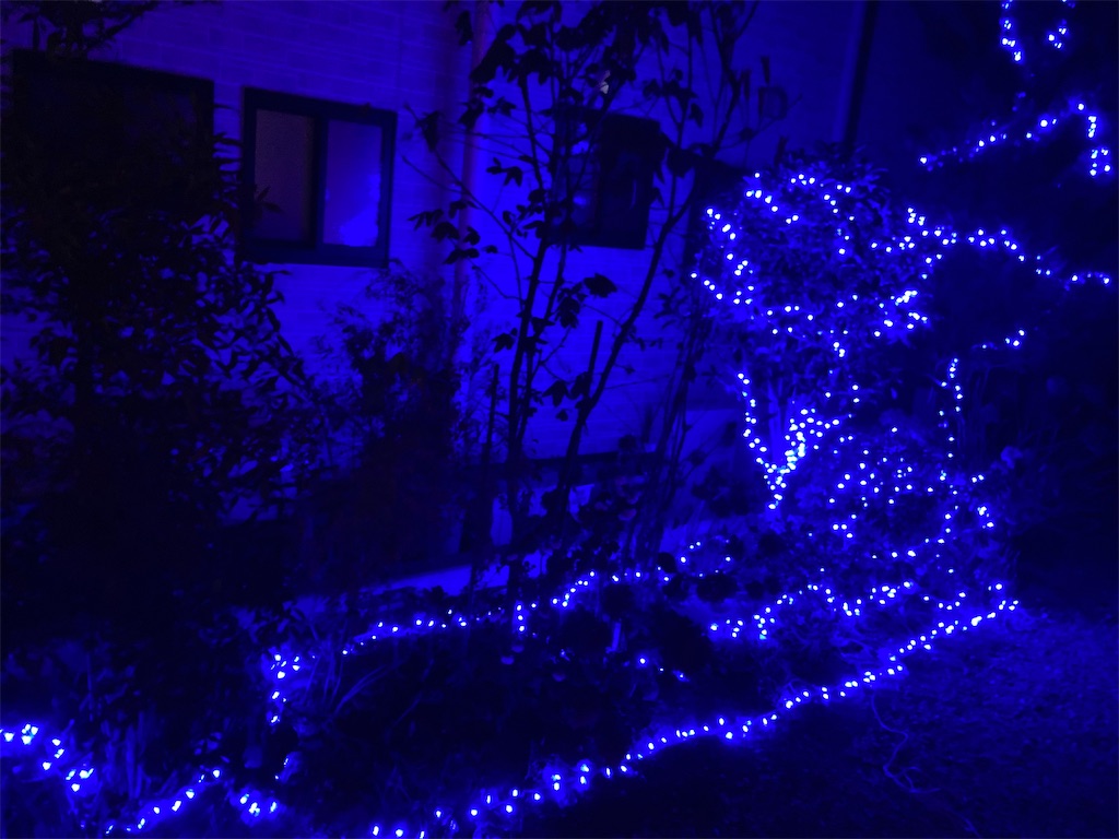 f:id:k1nta:20231112093238j:image