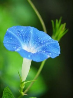 f:id:k1take:20170808123237j:image