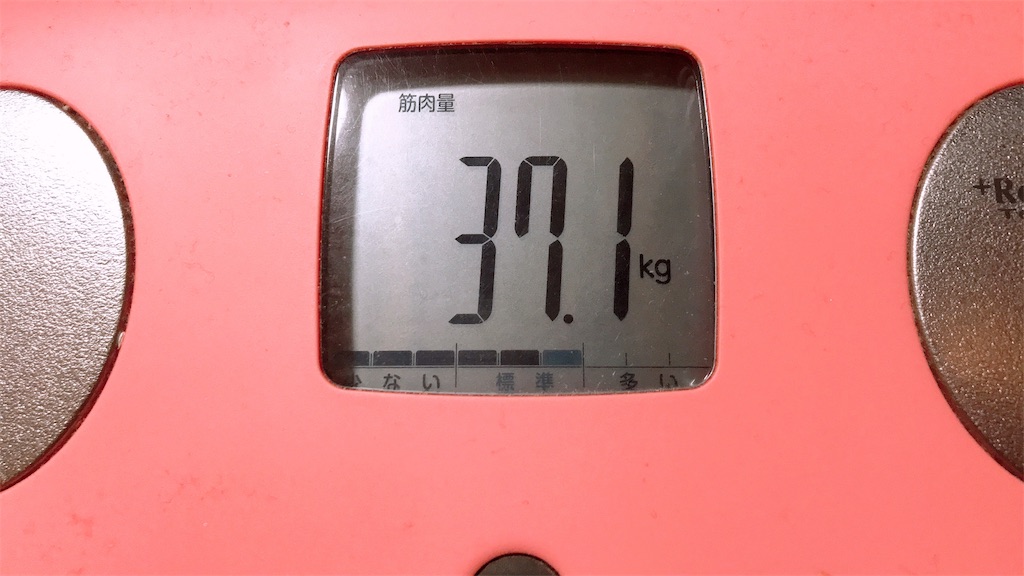 f:id:k242390:20190309110912j:image