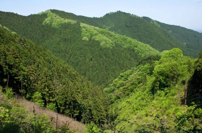 f:id:k2h1c0k2c0:20201028182340j:plain f:id:k2h1c0k2c0:20201028182340j:plain