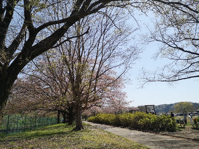 f:id:k2krkr:20220410203507j:image