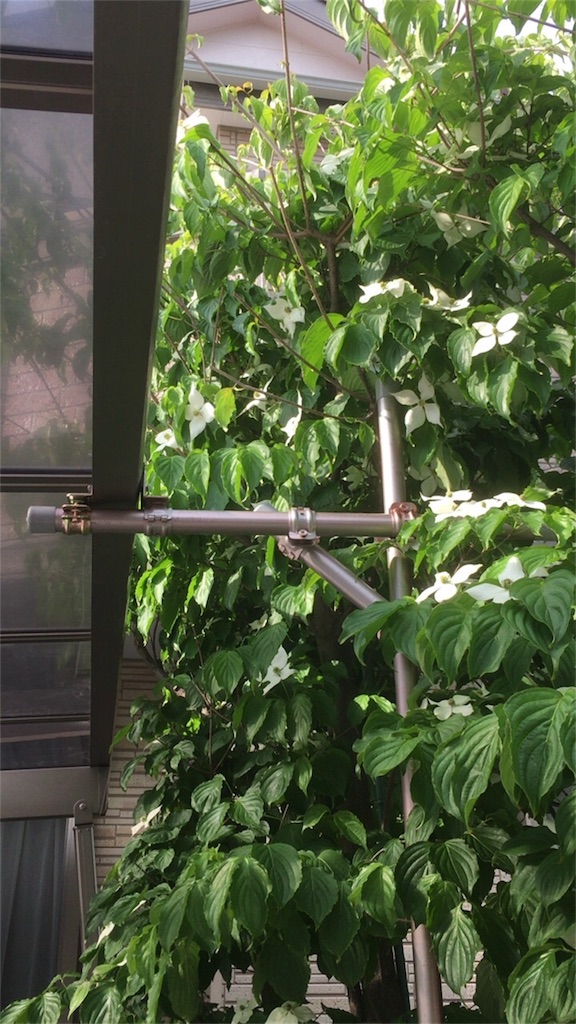 f:id:k2sugi:20180512181130j:image