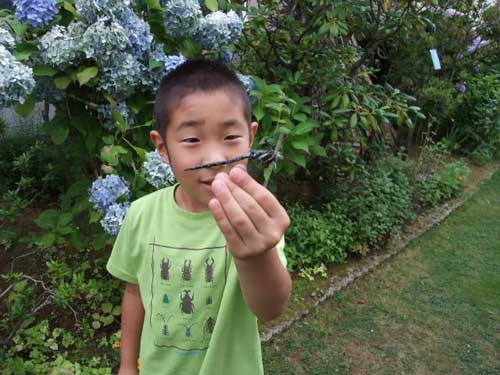 f:id:k2teramoto:20160824125440j:image
