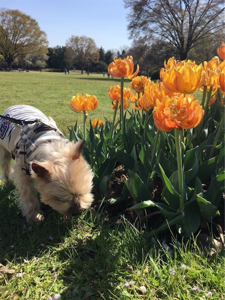 f:id:k3c:20190718082911j:image f:id:k3c:20190718082911j:image