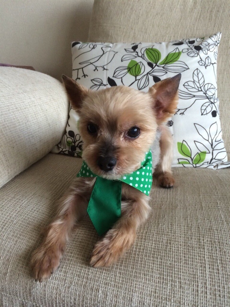 f:id:k3c:20190718083016j:image f:id:k3c:20190718083016j:image