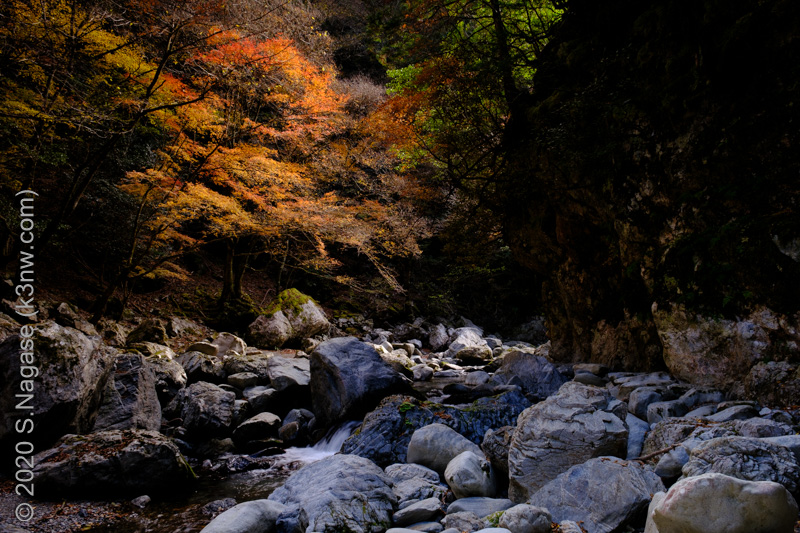 宮ノ谷渓谷　紅葉