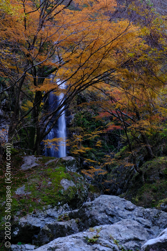 宮ノ谷渓谷　高滝の紅葉