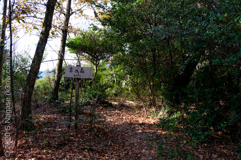 網掛山　幸の森