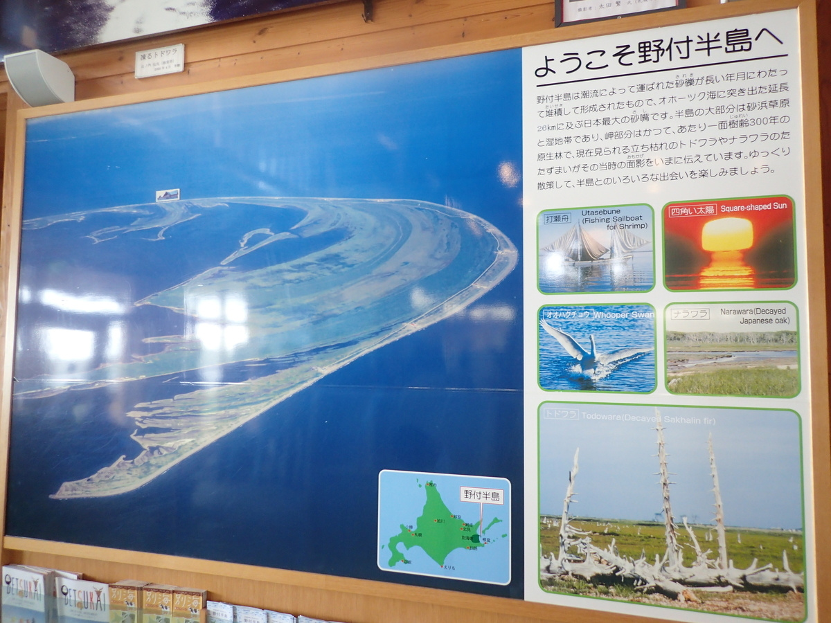 f:id:k441416:20200318220248j:plain