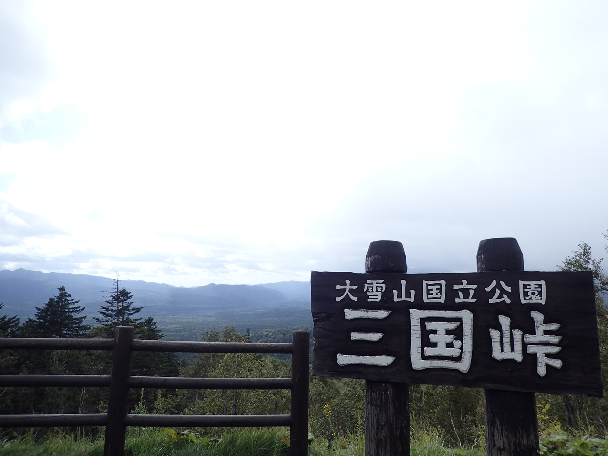 f:id:k441416:20200318223138j:plain