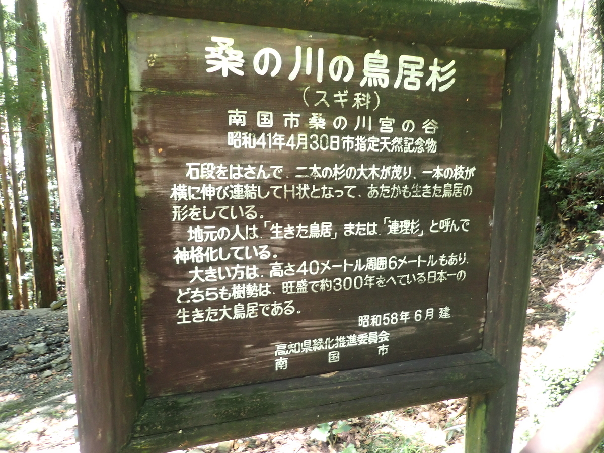 f:id:k441416:20200914204803j:plain