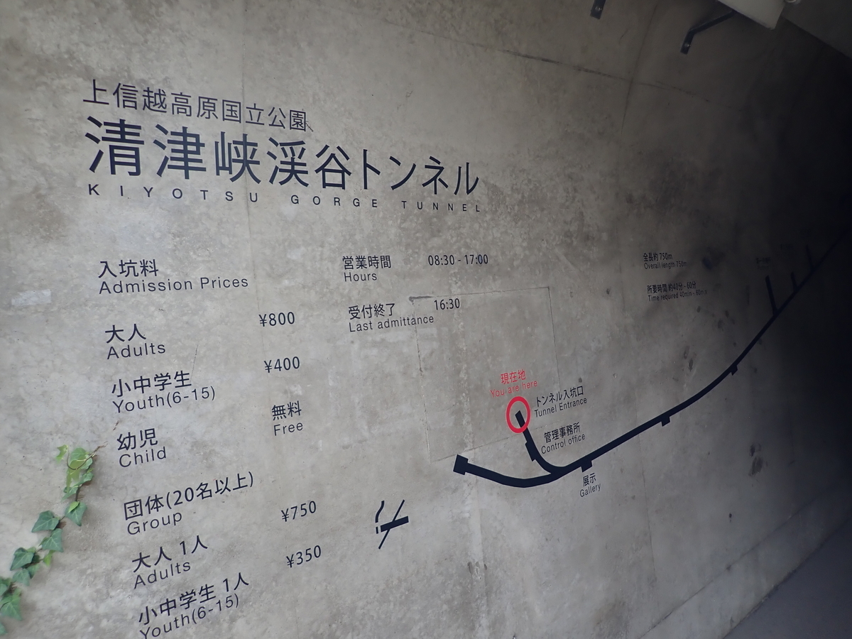 f:id:k441416:20201007221552j:plain